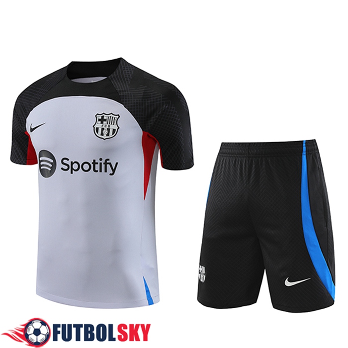 Comprar Camiseta Entrenamiento Cortos FC Barcelona Gris 2023 2024 Baratas