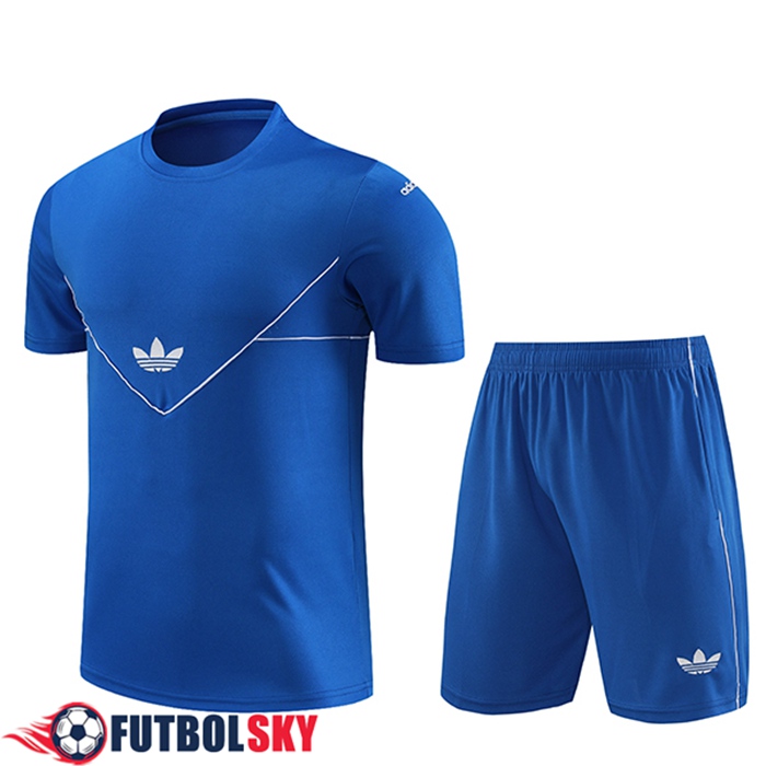 Comprar Camiseta Entrenamiento Cortos Adidas Azul 2023 2024 En Once