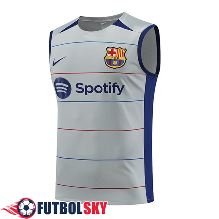 Comprar Chalecos De FC Barcelona Gris 2023 2024 03 Baratas Replicas